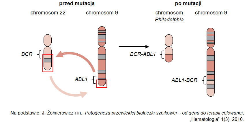 Przewlekła białaczka szpikowa