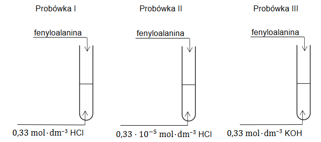 wzory półstrukturalne (grupowe) fenyloalaniny