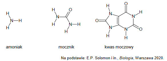 azotowe produkty metabolizmu zwierząt