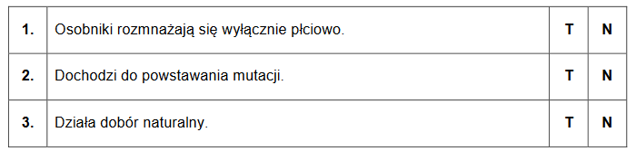 Allele warunkujące ubarwienie sierści u mysz