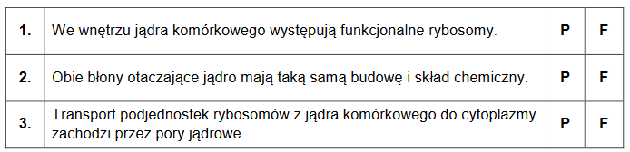 Jądro komórkowe i jego otoczenie