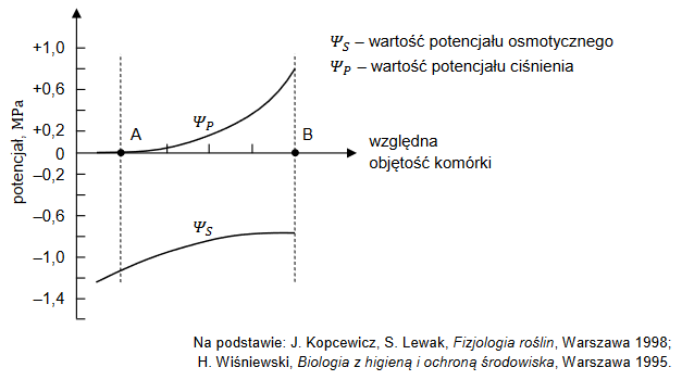 gradient potencjału wody