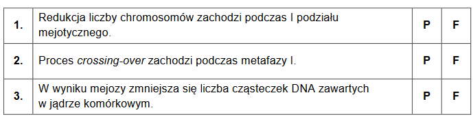 przemiana faz jądrowych i mejoza