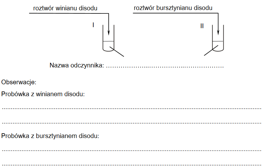 kwasy dikarboksylowe występujące w przyrodzie