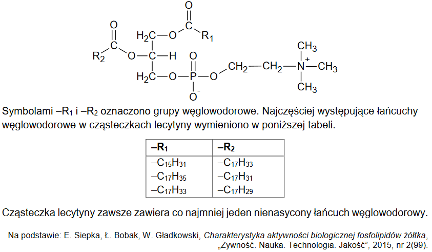 Lecytyny – naturalne związki o dużym znaczeniu biologicznym